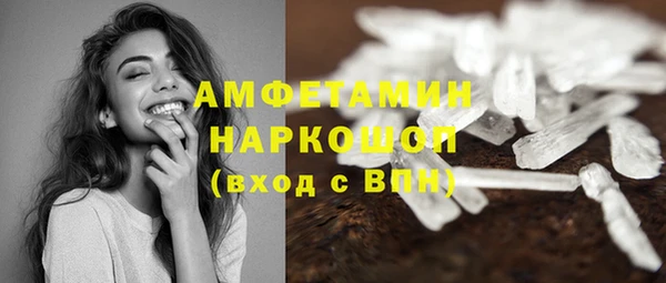 индика Пестово