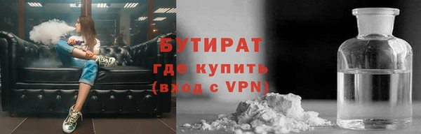 индика Пестово