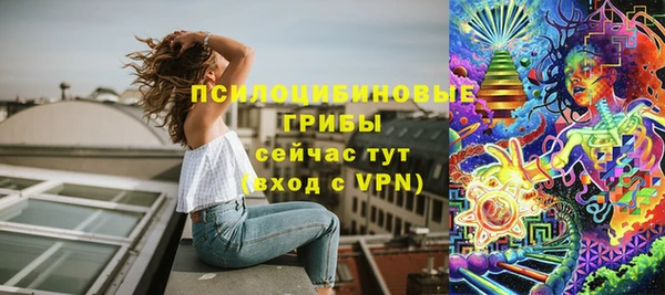 spice Нестеровская