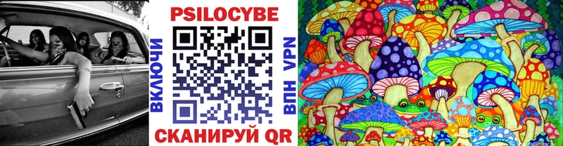 Галлюциногенные грибы мицелий  закладка  Питкяранта 